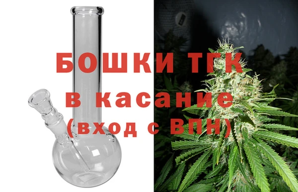 шишки Алексеевка