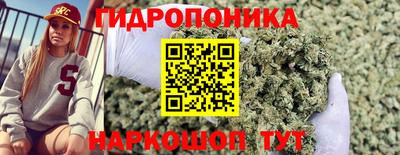 стаф Краснознаменск
