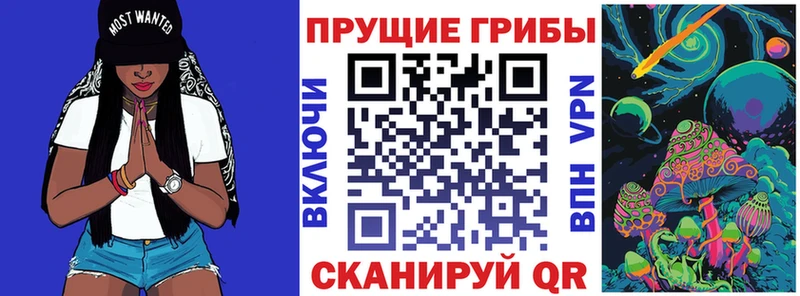 Галлюциногенные грибы Psilocybe  kraken ТОР  Углич 