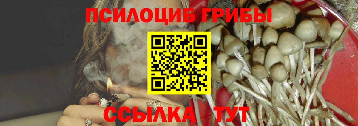 Галлюциногенные грибы Magic Shrooms Углич